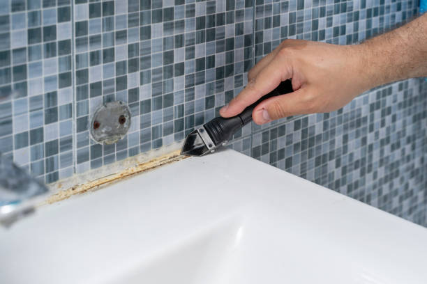 Best Home Mold Removal  in Verandah, FL