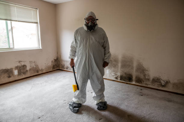 Best Professional Mold Removal  in Verandah, FL
